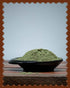 Kalagura Gampa Neem Powder